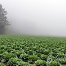순이용역 이미지