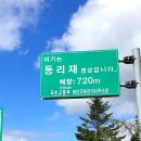 백두투어