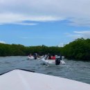 나로 호텔 | 팡팡 여행지 칸쿤 액티비티 정글투어(스피드보트+스노쿨링) 예약 방법/비용/준비물/후기 호텔존 가볼만한곳