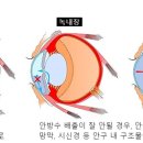 으뜸원동물병원 이미지
