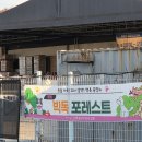 사단법인 사랑해밥차 | [방문후기] 빅독포레스트 유기견 봉사활동 후기(임산부지만 괜찮아!) + 신청방법