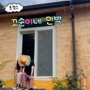 별장민박 - 양양군 낙산사로49번길 2 | 경기도커플여행 서울 근교 촌캉스 숙소, 여주 꼬순이네 민박 자세후기