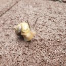 송도뛰어라부동산공인중개사사무소 이미지