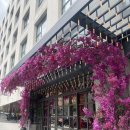 마드리드호텔 이미지