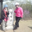 음암초등학교 이미지