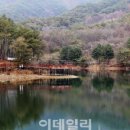 김주부 이미지
