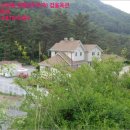 무릉도원면-13 이미지