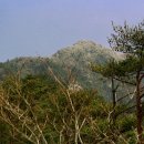 쌍용아파트 건너편 이미지