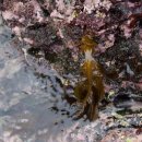 제주공항가까운게스트하우스 이미지