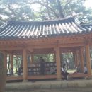 송림톱밥 이미지