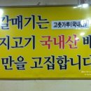 장수갈매기 이미지