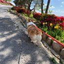 카페스토리 이미지