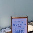 채우리딸기