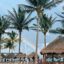 더 플라야 이미지