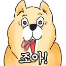 뒤집어봤자전이여