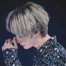 나돼지 이미지