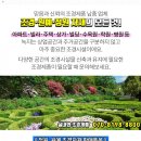 (주)이엑스스타