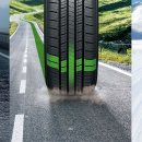 타이어판다 이미지