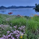 바다솔정원펜션 이미지