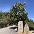 강촌체험낚시터 이미지