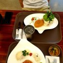 동해 수제버거 맛집 피오레 한섬해수욕장 근처 후기