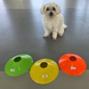 문장유치원 이미지