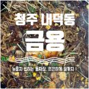 금용 | 청주 내덕동 맛집 금용 누룽지 씹히는 돌짜장 솔직 후기