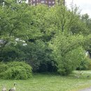 춘기농장 | 봄을 지나 진짜 여름으로