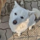 학교관사앞 이미지