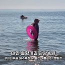 태안캠핑농원 | 태안 솔향기길 관광농원 야영장, 꾸지나무골 해수욕장 뷰 좋은 여름 휴가 바다 캠핑장 추천