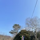 황령산레포츠공원(생태공원) 이미지