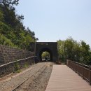 동백이마트 사거리(건널목중간) | 부산역에서 시티버스(부티버스) 타고 부산구경 두 번째 해운대에서 미포철길(동해남부선 폐 선로) 이용...