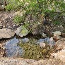 숲속쉼터옆 이미지