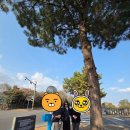 효돈천 | 제주 올레길 6코스 -쇠소깍 다리 에서 시작점 으로 올레 여행자 센터 까지 룰루랄라 😊