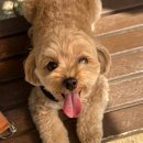 인사동면가 | [일기 | 10월 첫째주] 백수여도 연휴가 좋은이유는?