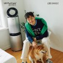 도그앤도그 이미지