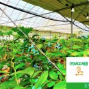 세광농장 이미지