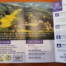 더힐링식물원야영장 이미지