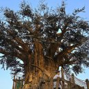 하계어린이공원 이미지