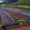 안의농약사 이미지