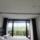 알마레월정 이미지