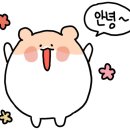 금파슬라이드
