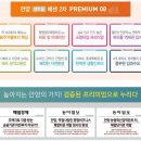 안양 센트럴 헤센 2차 이미지