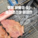 캠핑코리아 | 비장탄 추천! 비젼코리아비장탄 참숯으로 캠핑 바베큐 후기