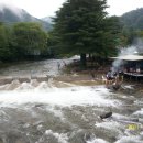 어비숲민박 이미지