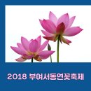 부여 궁남지 부여서동연꽃축제 2018/셔틀버스 운행