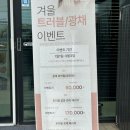 대정동물병원 | (신규오픈) [제주/대정] “에이앤에이룸”에서 여드름 관리받고 왔어요!