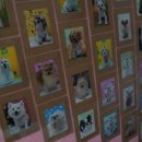 개털깎는남자 이미지