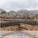 양산신-2026 네이버블로그