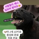 세나농장 이미지